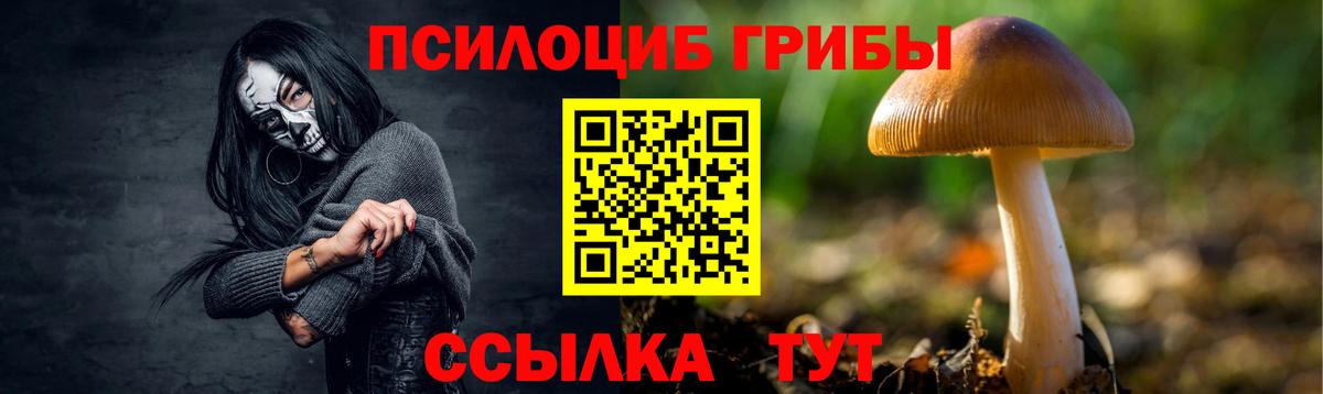 Нефтекамск  Псилоцибиновые грибы Psilocybe  Вход с VPN 